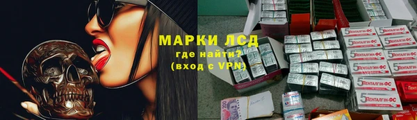 прущие грибы Аркадак