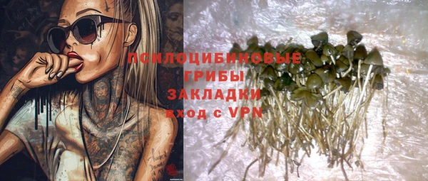 прущие грибы Аркадак