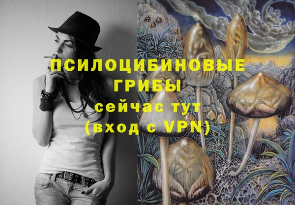 МДПВ Армянск