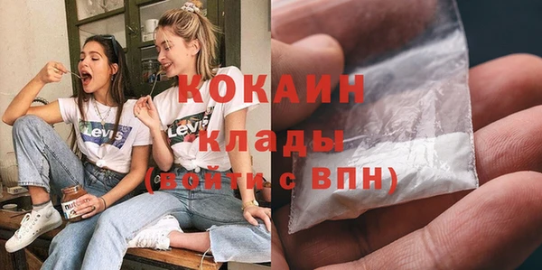 прущие грибы Аркадак