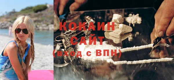 прущие грибы Аркадак