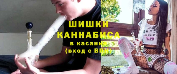 прущие грибы Аркадак