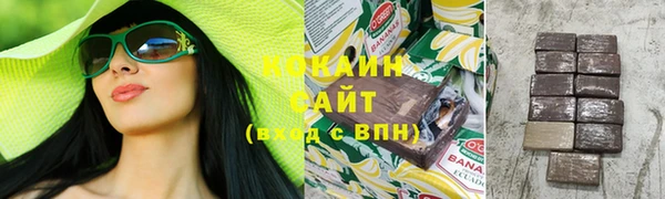 прущие грибы Аркадак