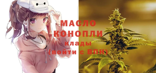 прущие грибы Аркадак