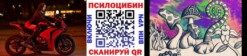 наркошоп  Усть-Илимск  Псилоцибиновые грибы Psilocybine cubensis 